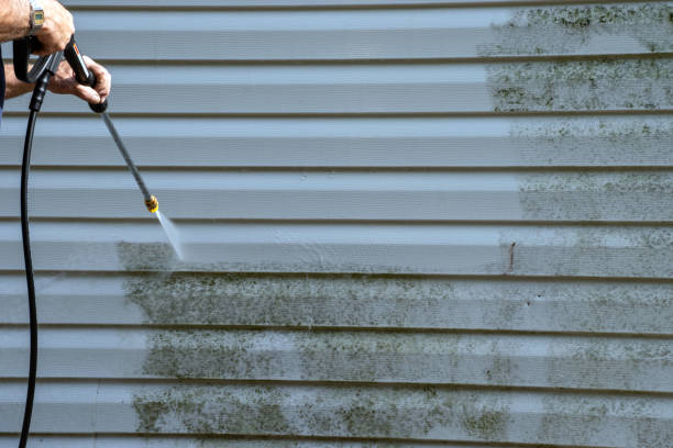 Professional Junk Removal in Edgewood, PA